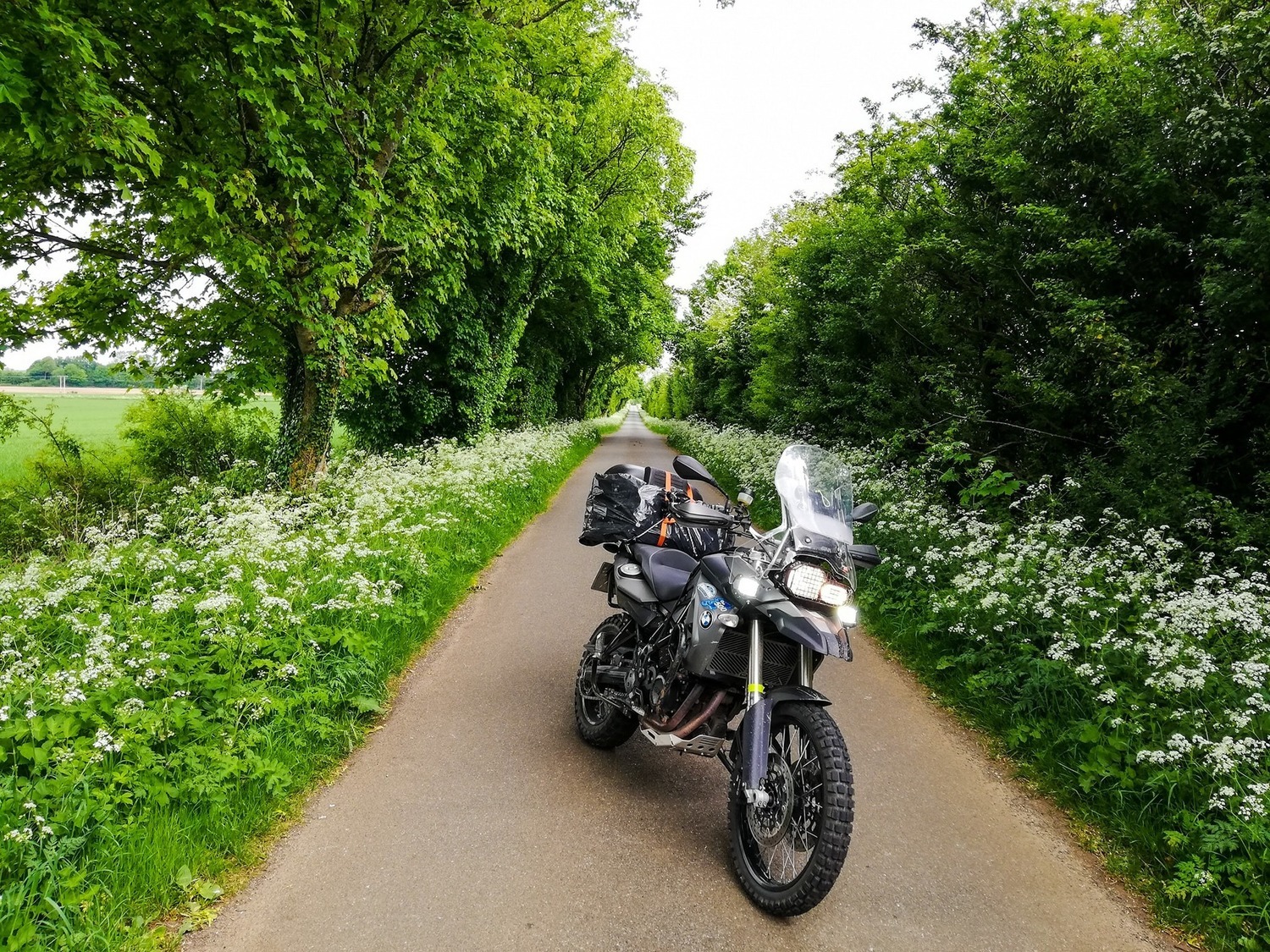 Bike Photo 2818680