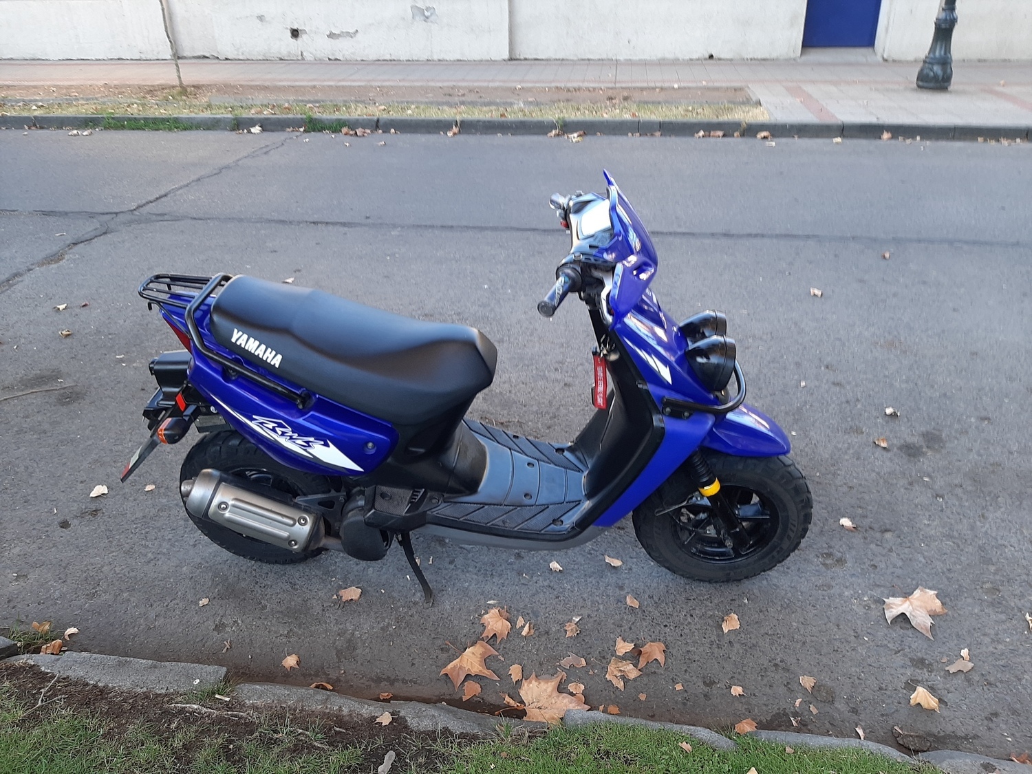 BWS 100