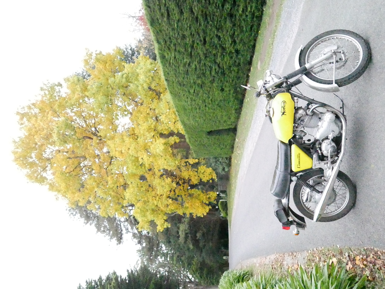 Photo 2818793