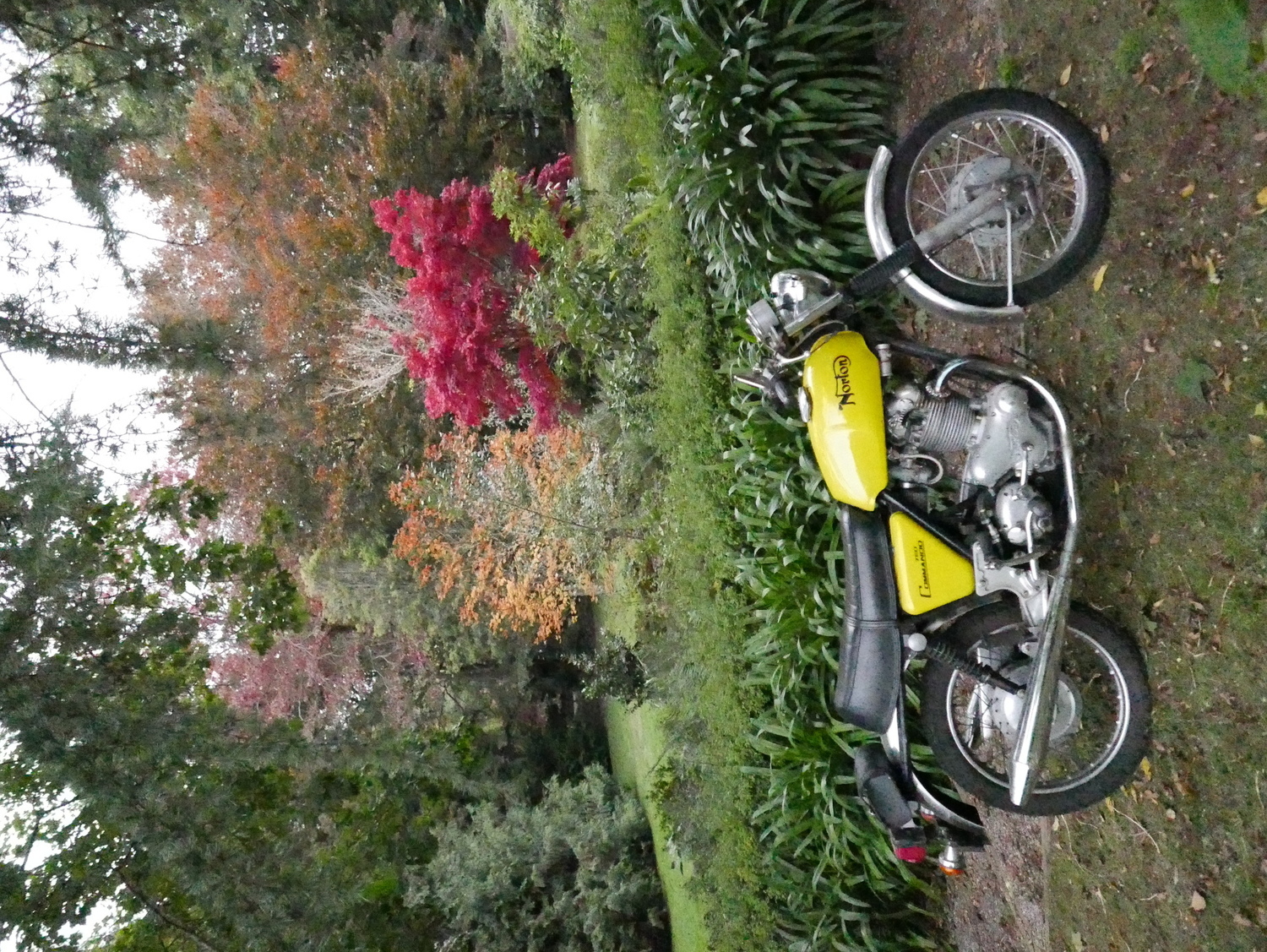 Photo 2818795