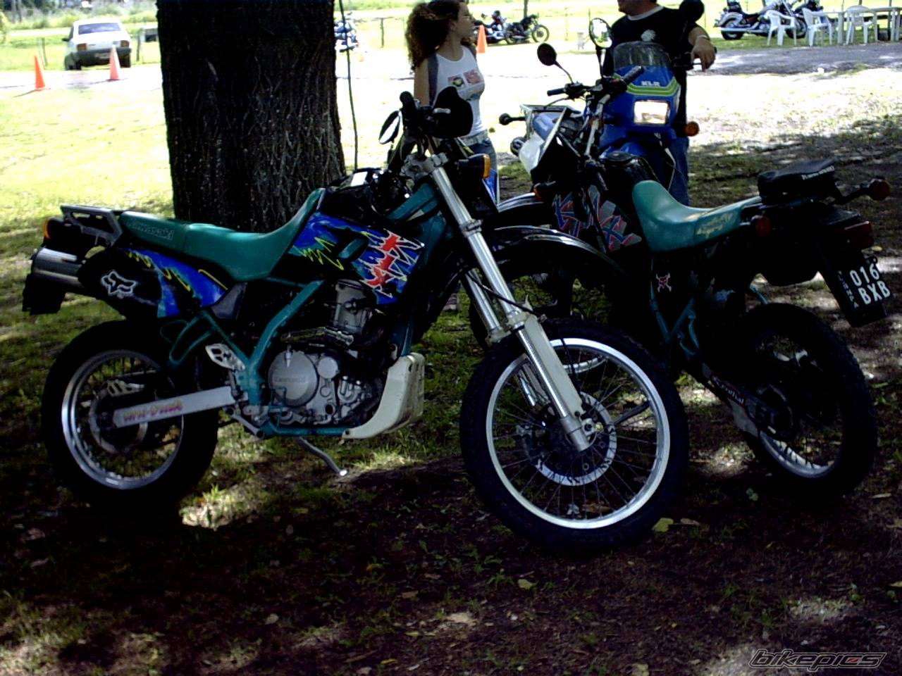 Photo 281886