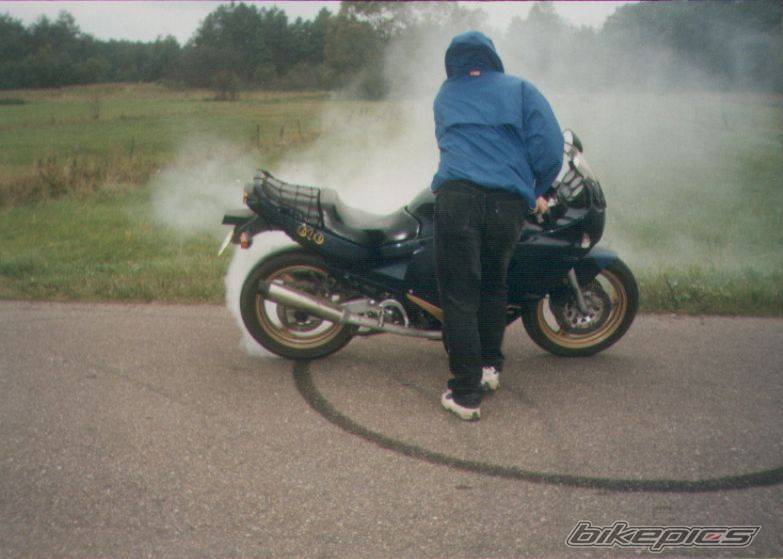 Photo 281903