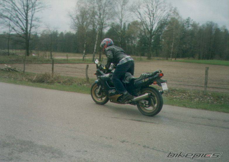 Photo 281909