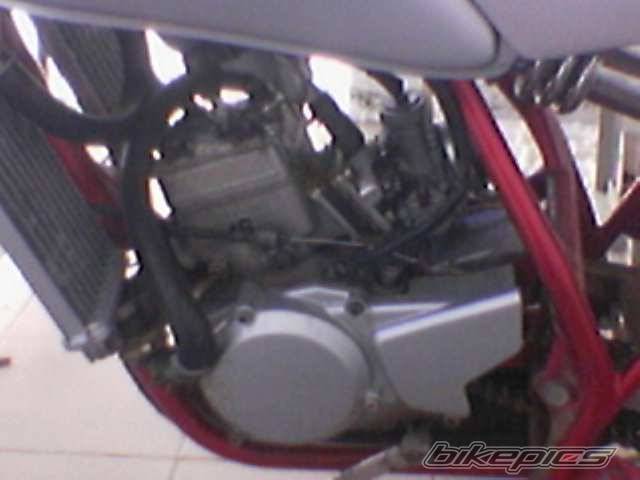 Photo 281911