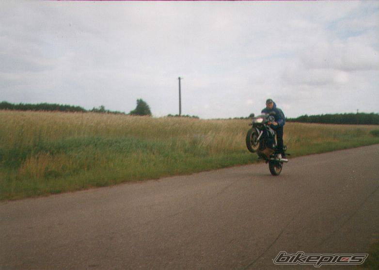 Photo 281913