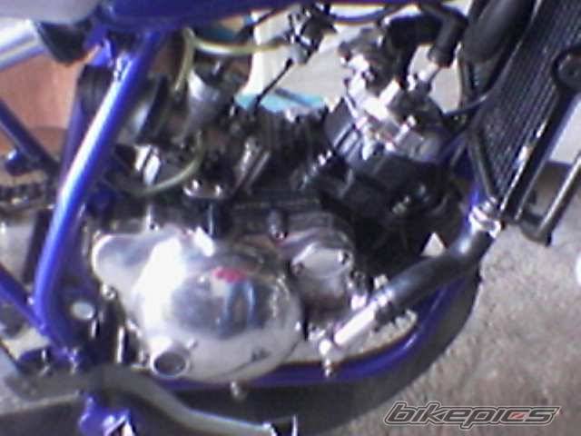 Photo 281916