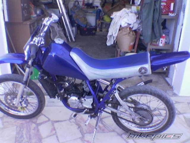 Photo 281919