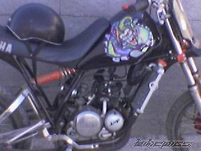 Photo 281924