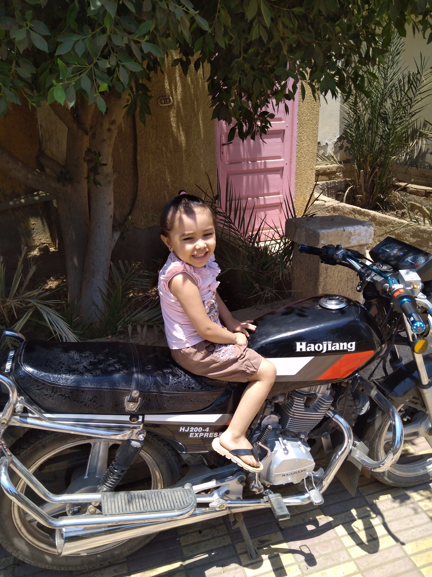 Bike Photo 2819255