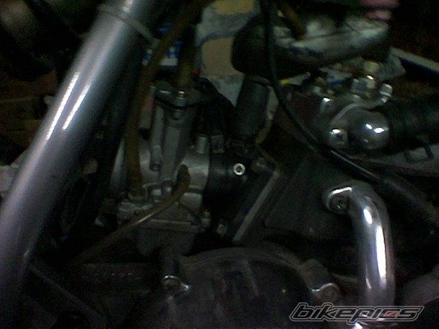 Photo 281928