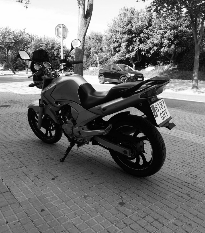 Photo 2819298
