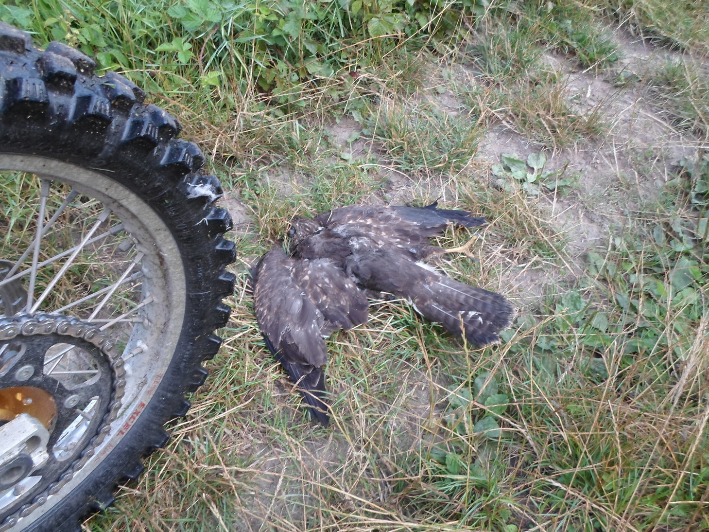 Bike Photo 2819315