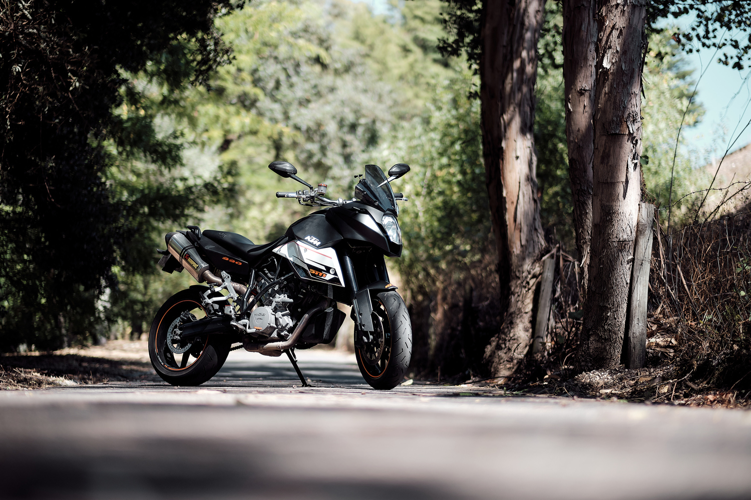 Bike Photo 2819738