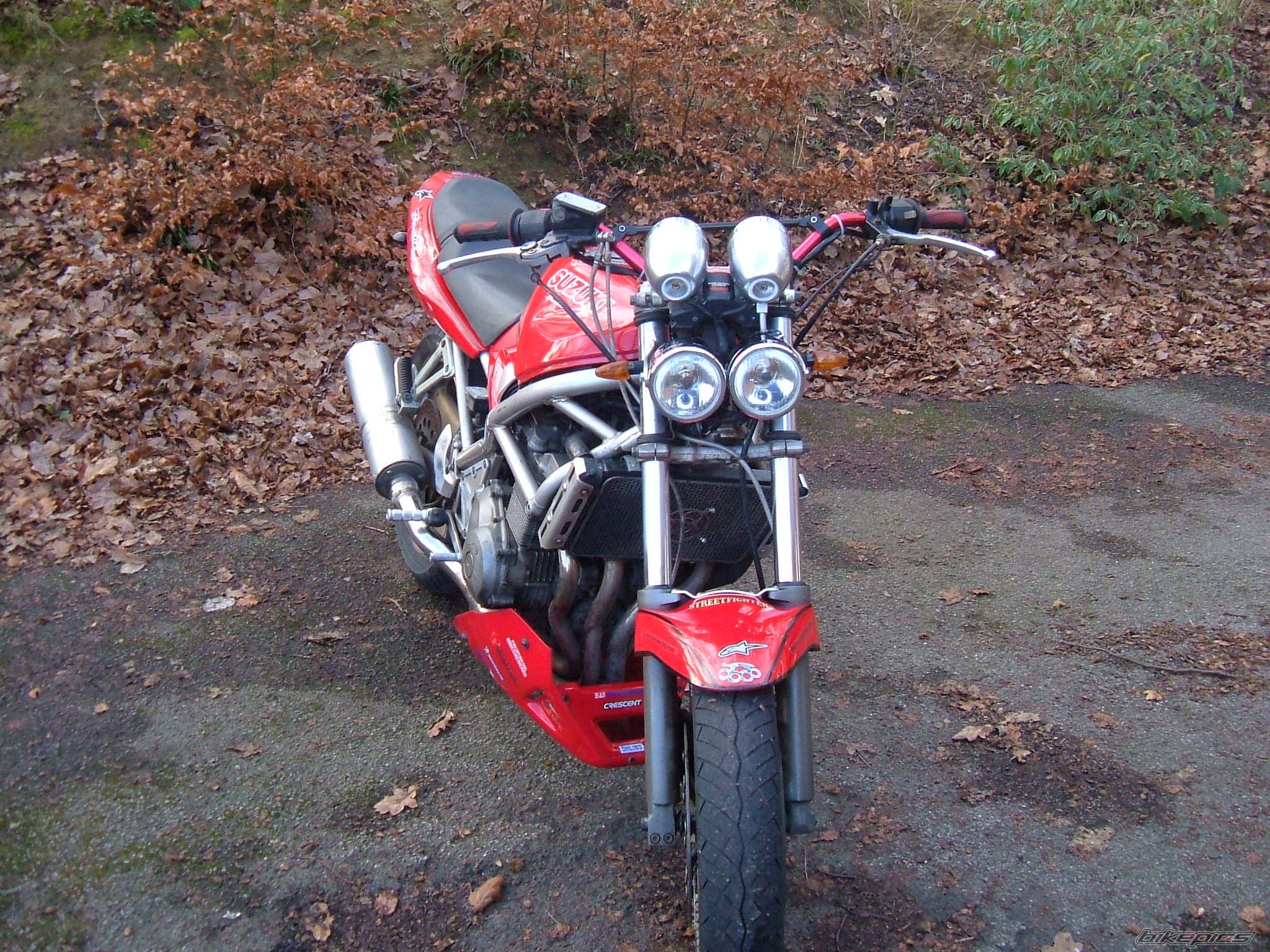 Photo 281982