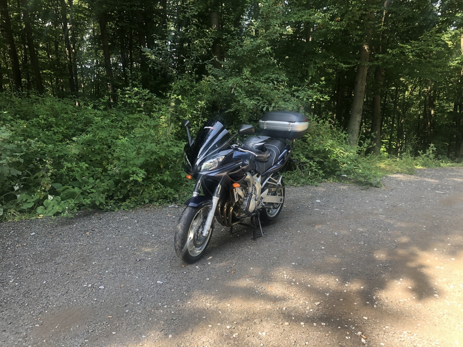 Photo 2819860