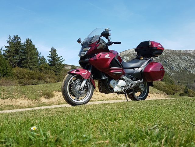 Photo 2819911