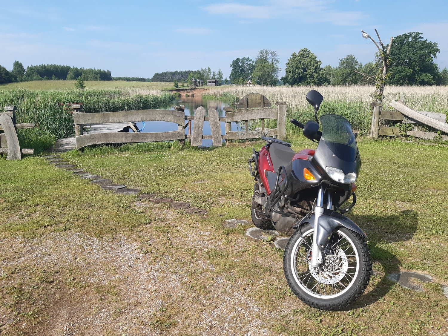 Photo 2820385