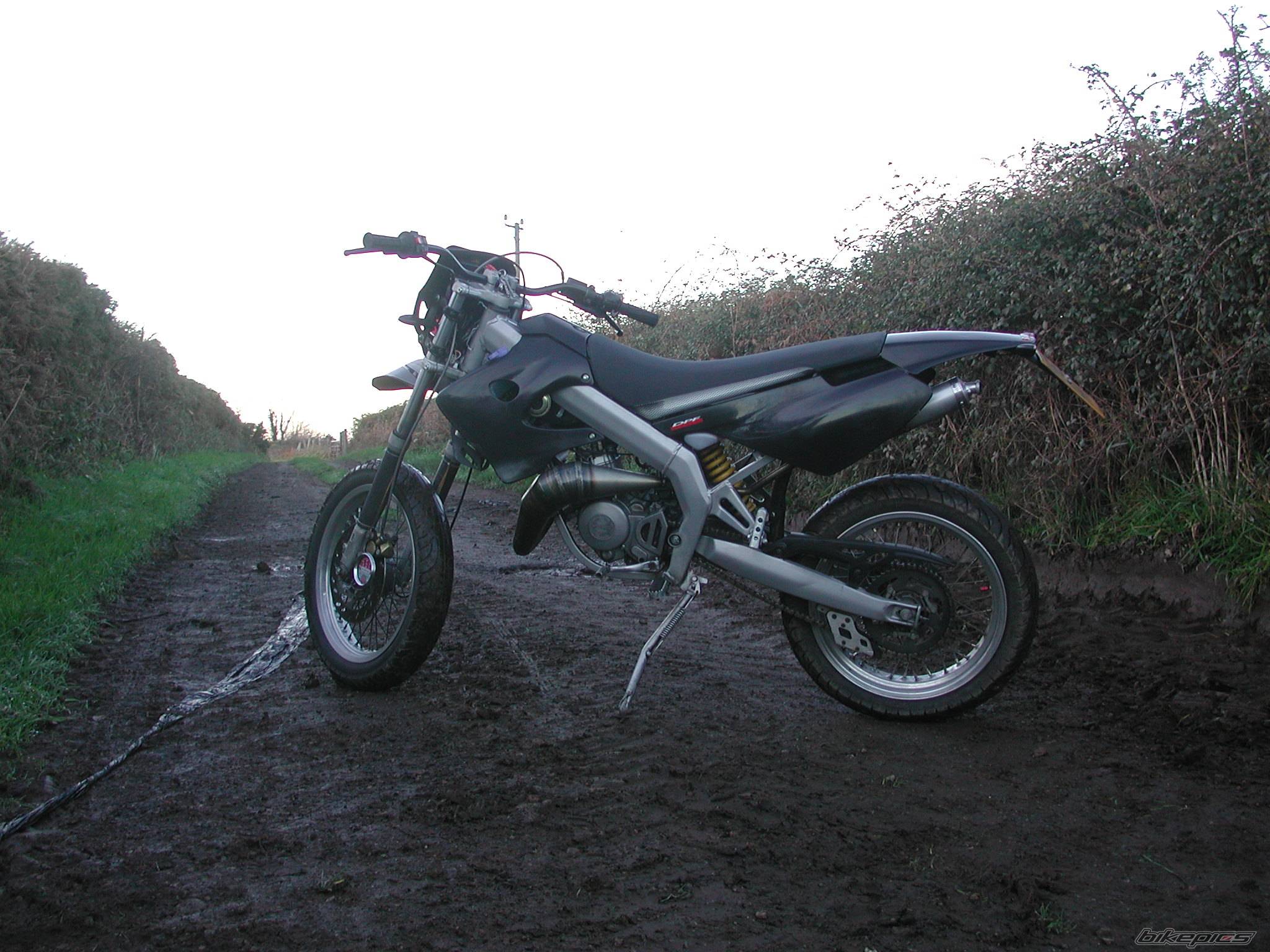 Photo 282061