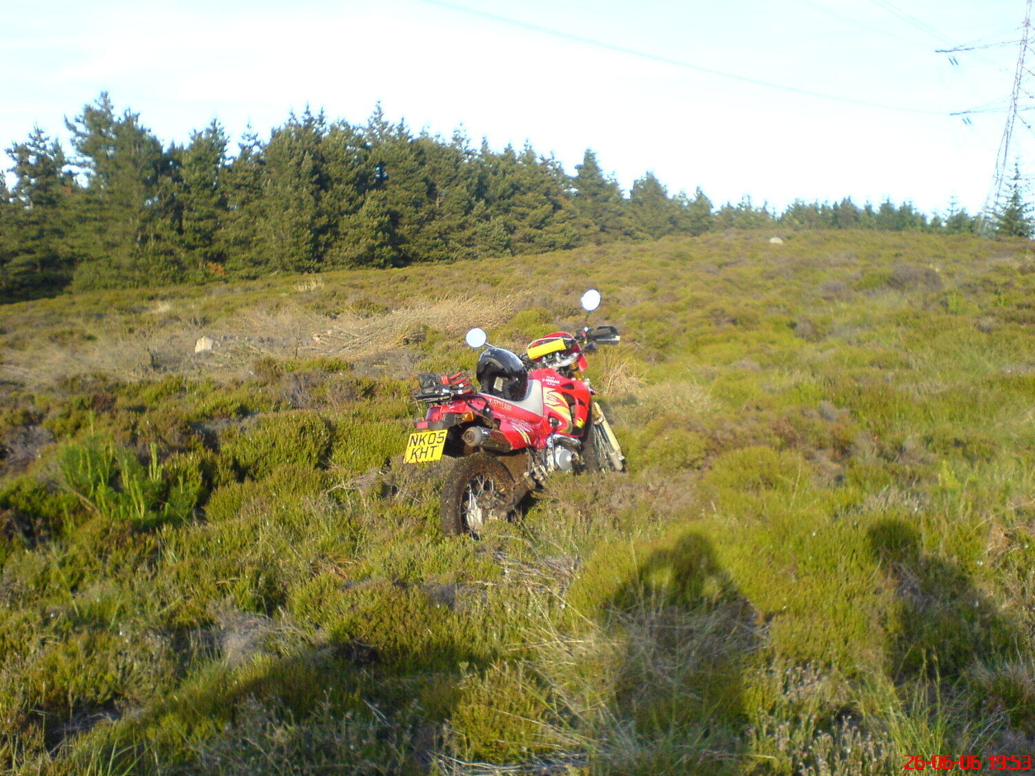 Photo 2820611