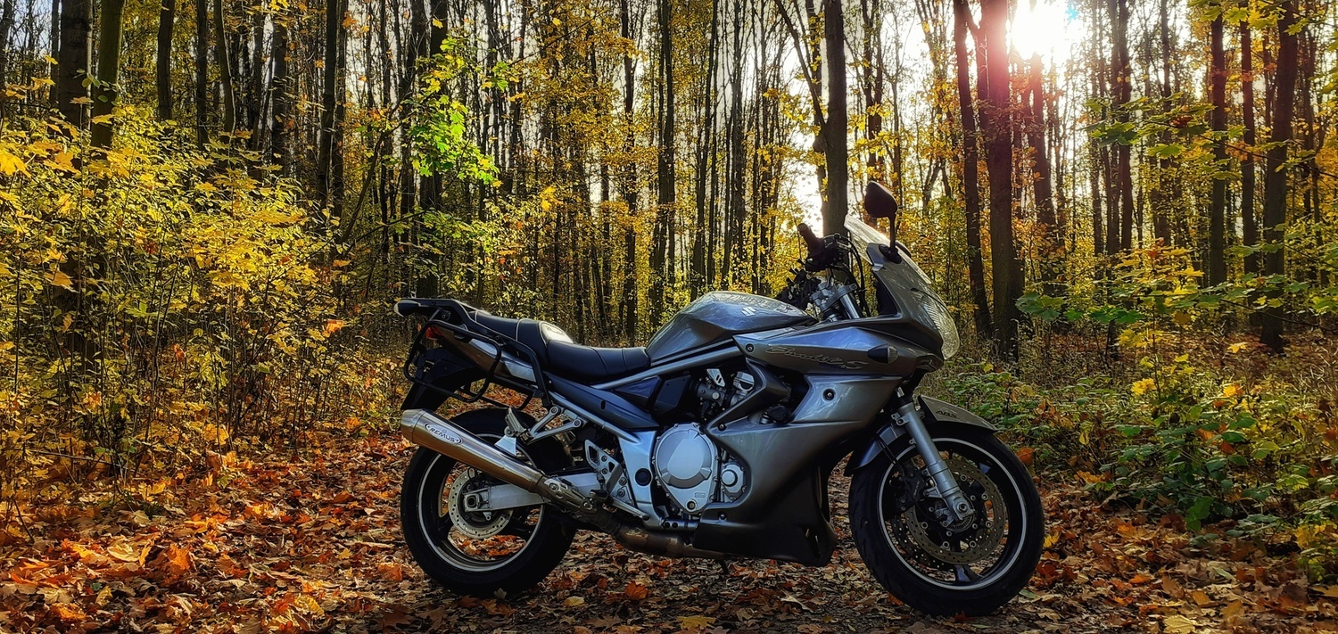 Bandit 1250s