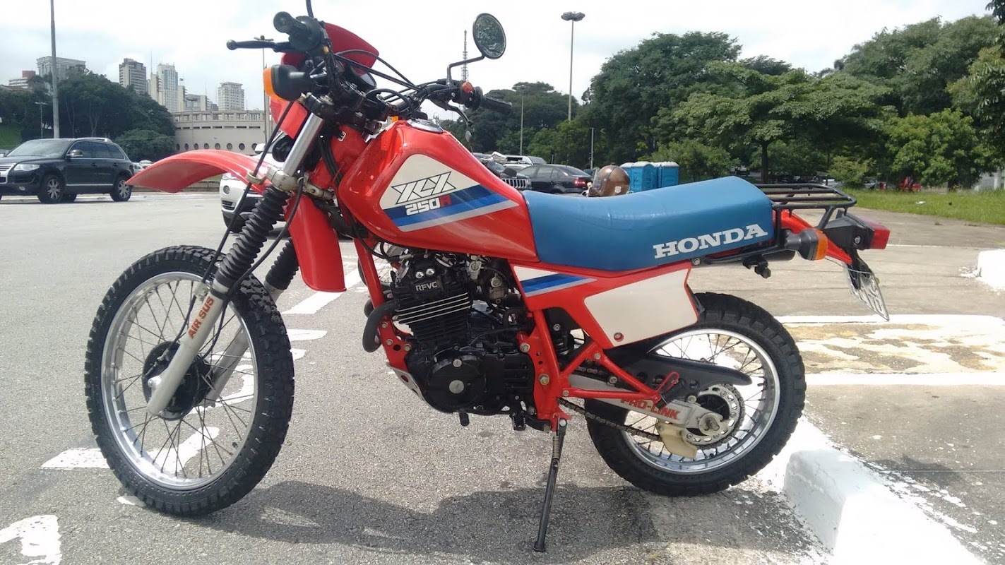 XLX 250