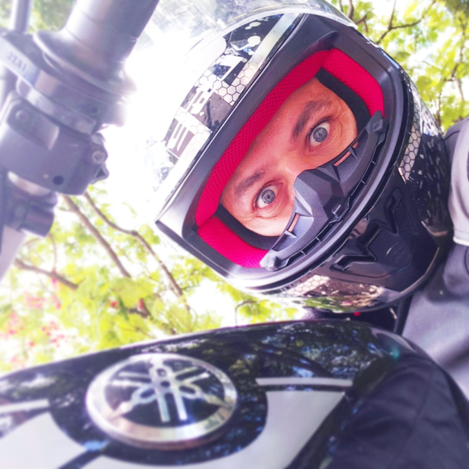 Bike Photo 2820927