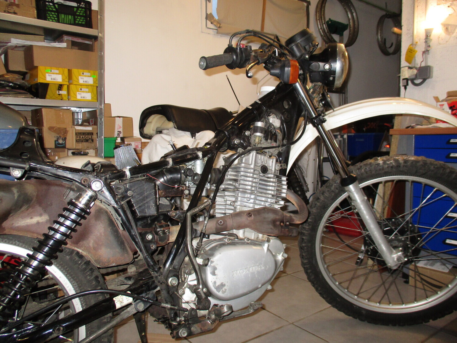 Photo 2820942
