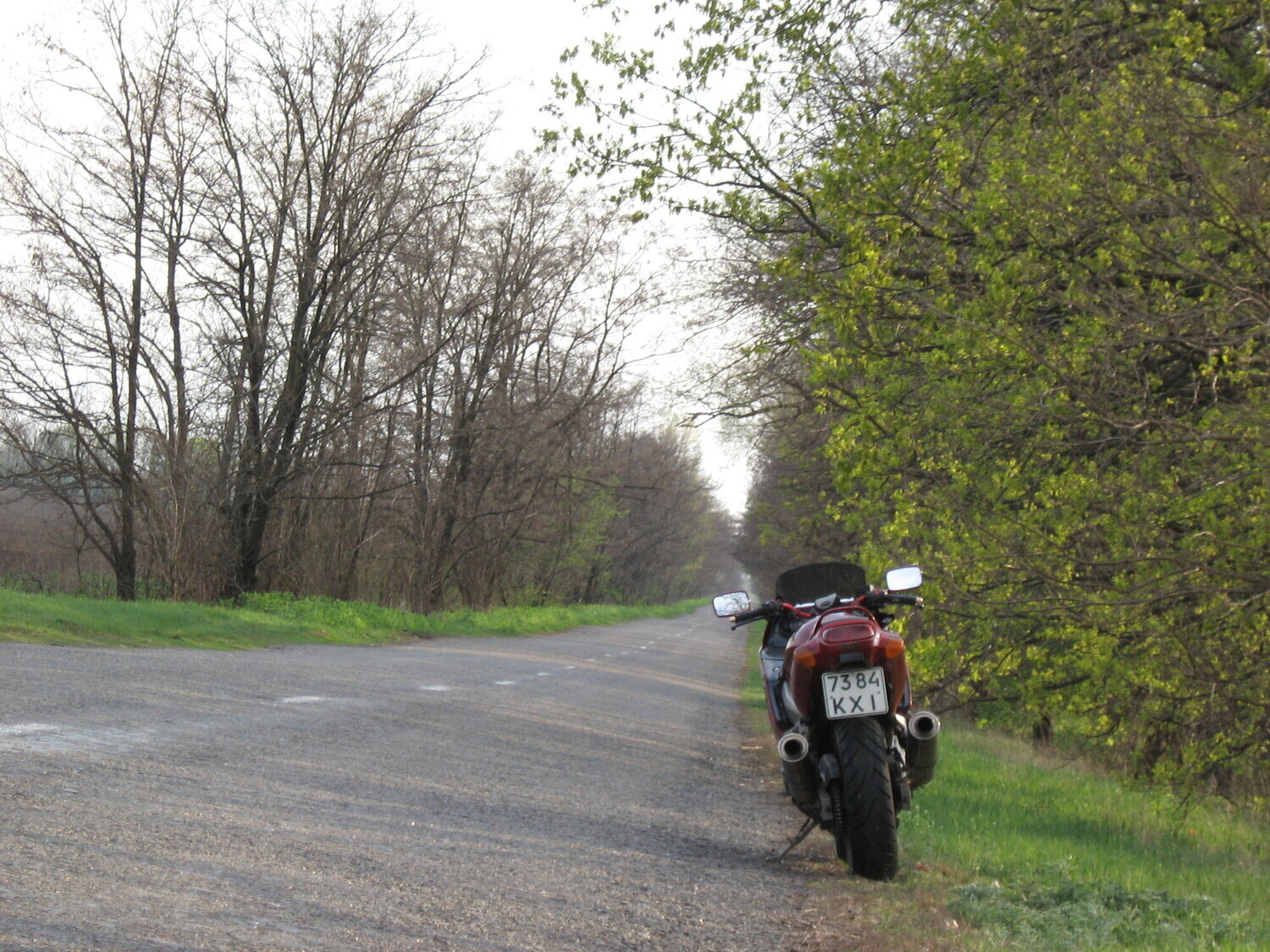 Photo 2821190