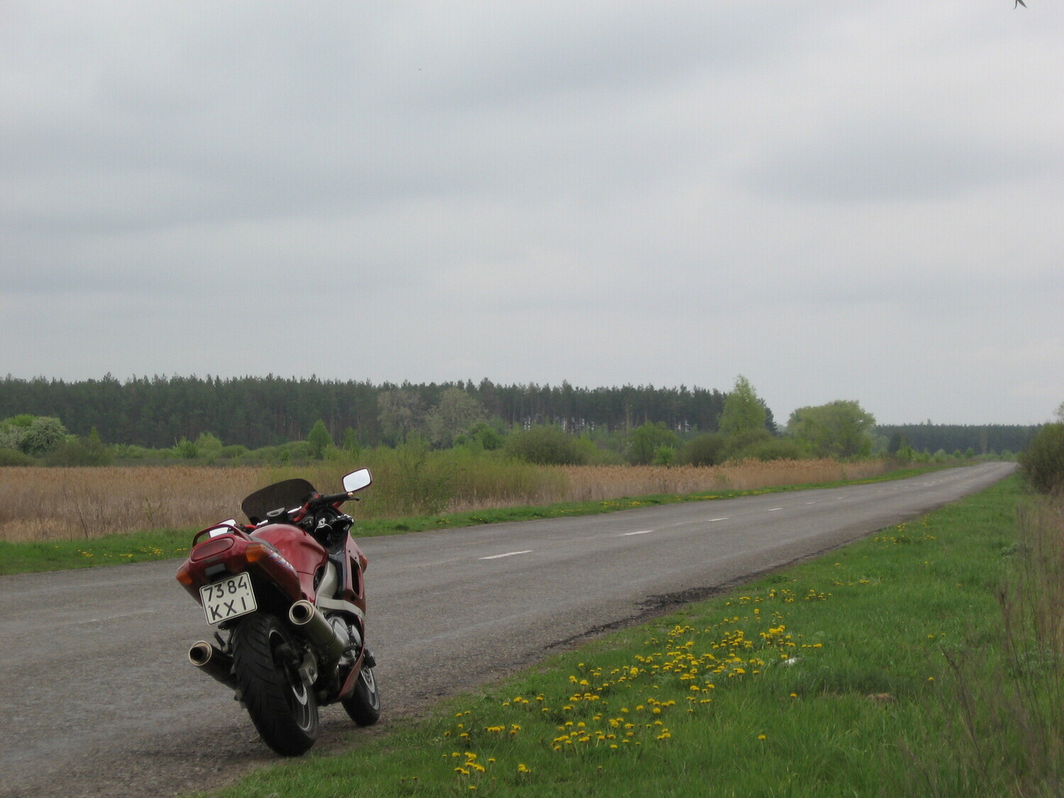 Photo 2821191