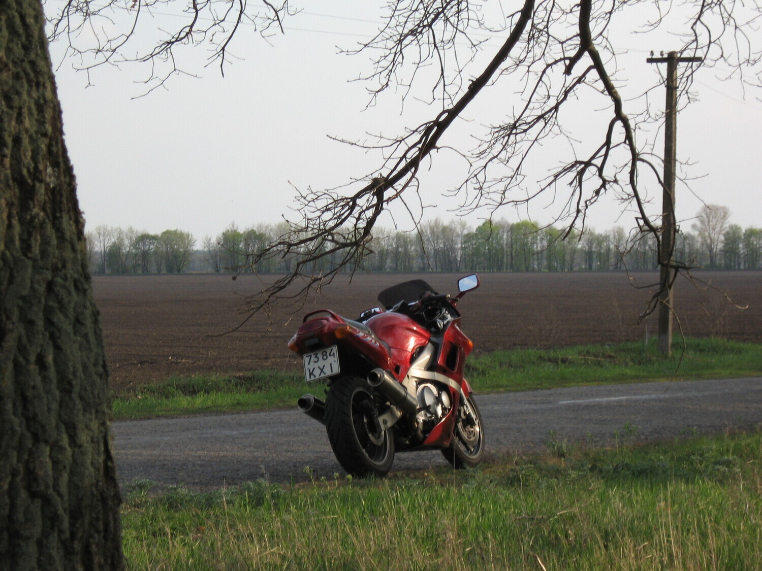 Photo 2821378