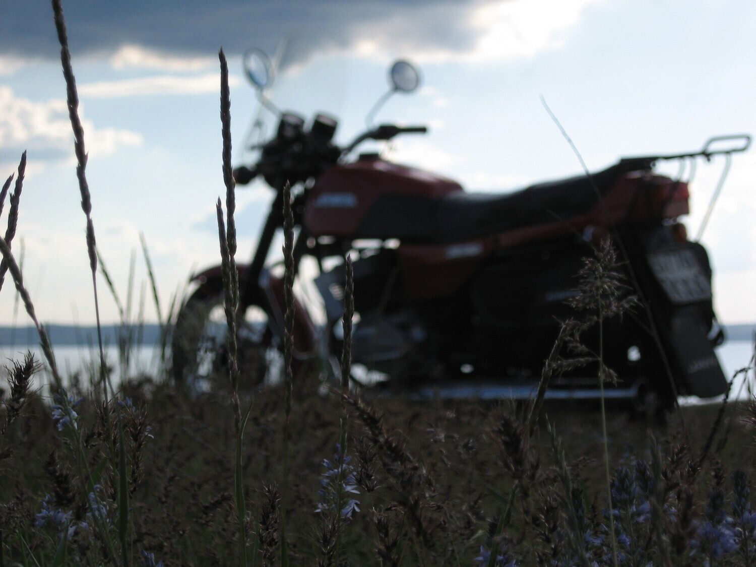 Photo 2821382