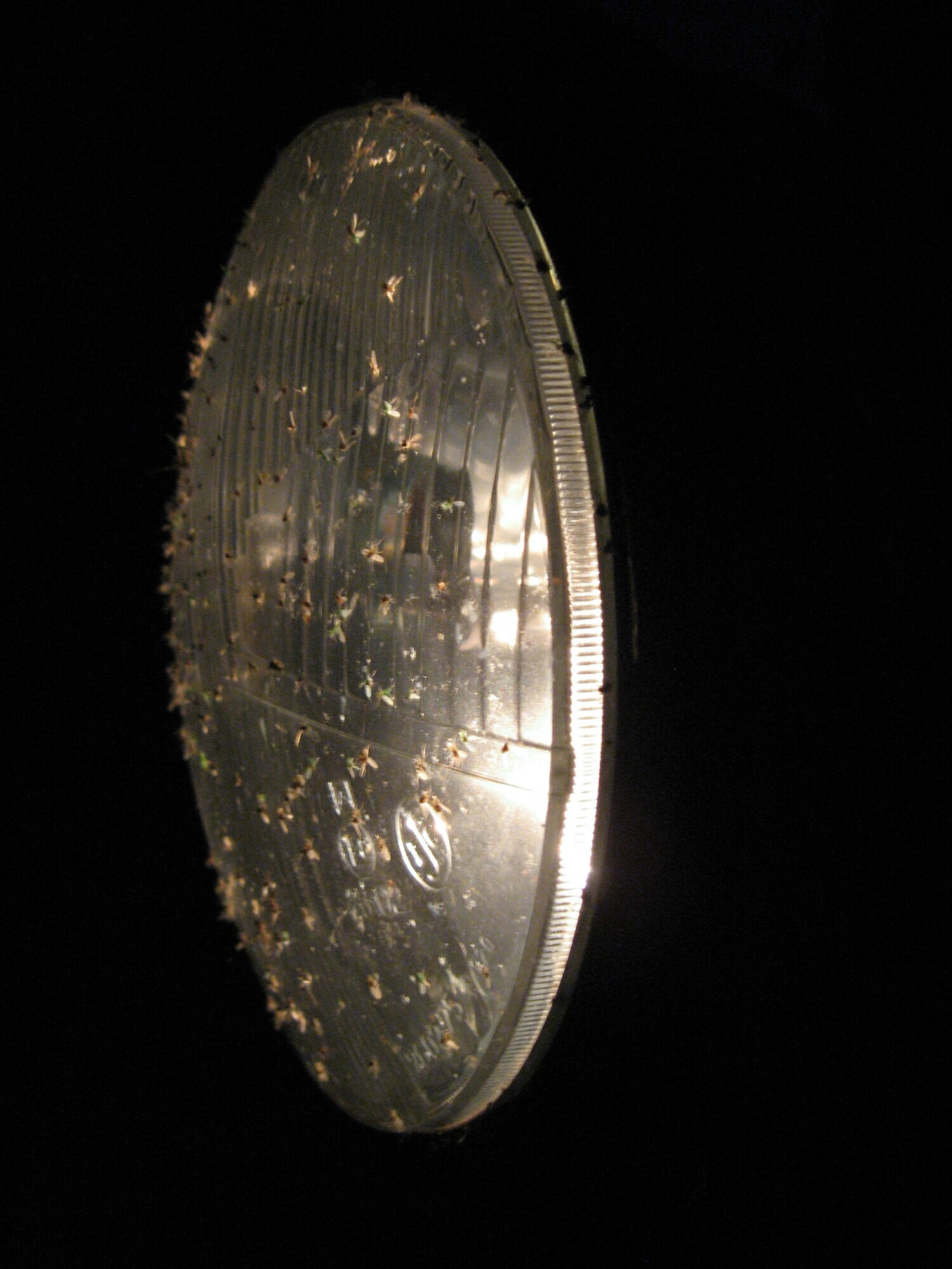 Photo 2821393