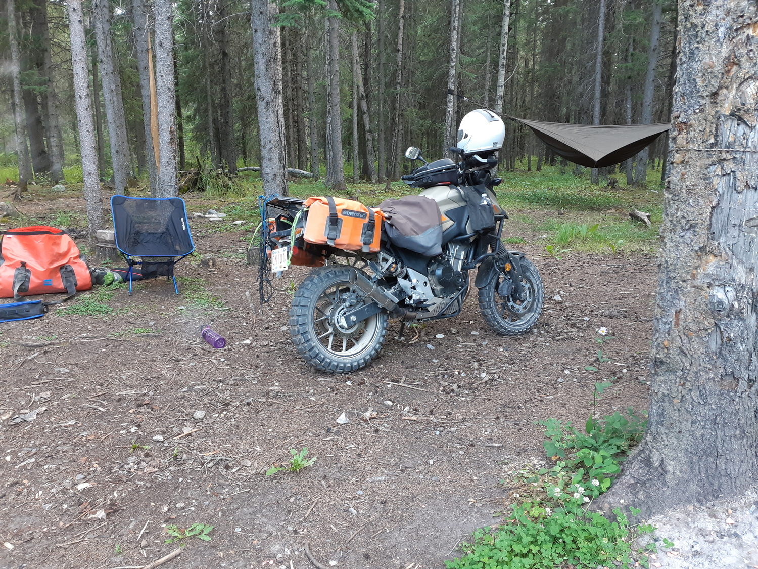 Photo 2821420