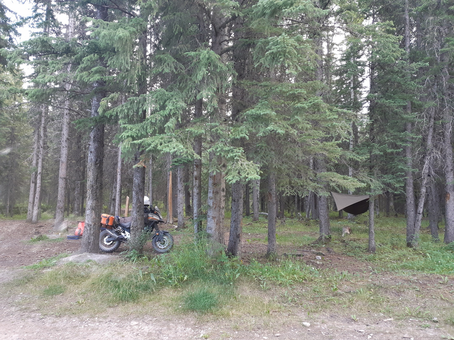 Photo 2821421