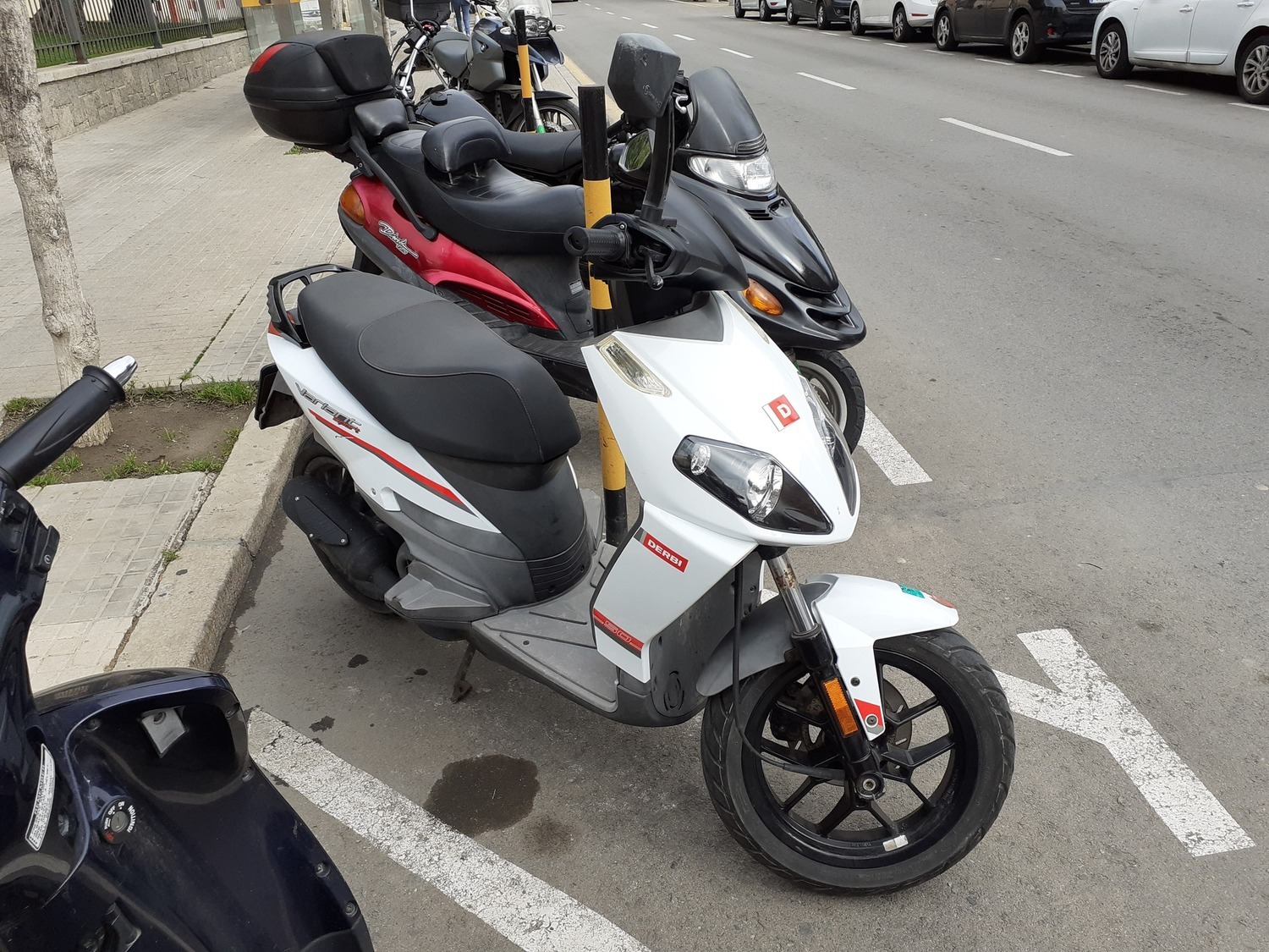 Photo 2821513