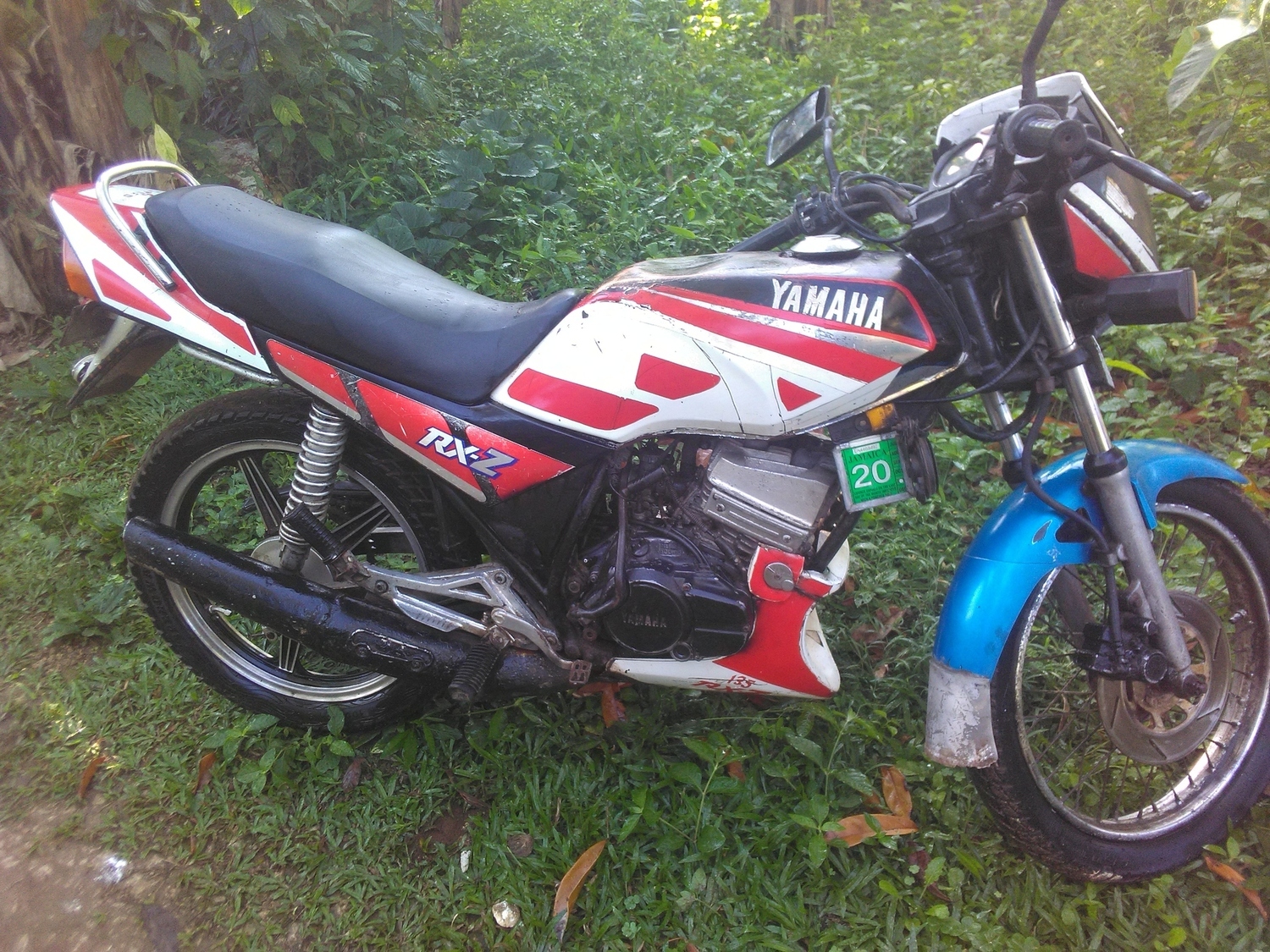 Photo 2821529