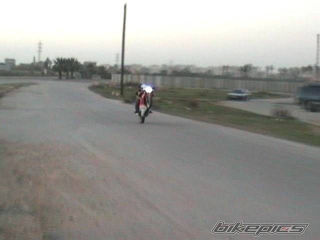 Photo 282156