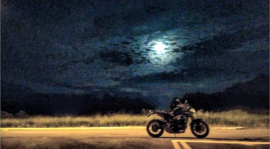 Photo 2821653