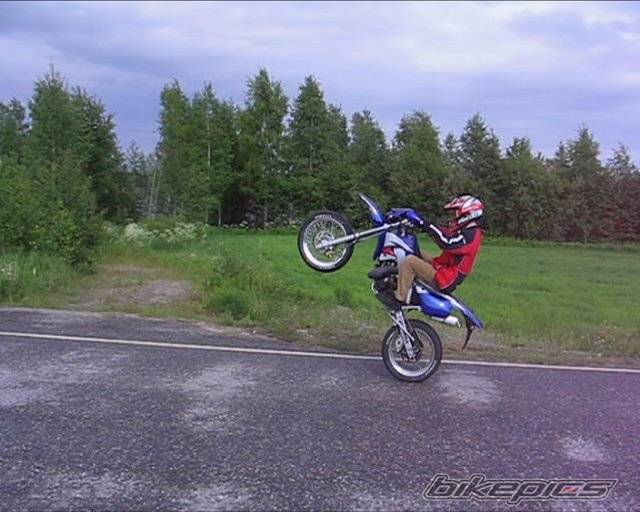 Photo 282167