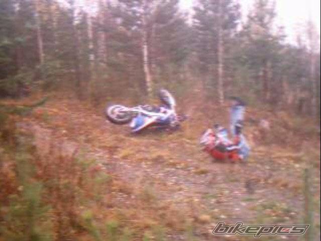 Photo 282175