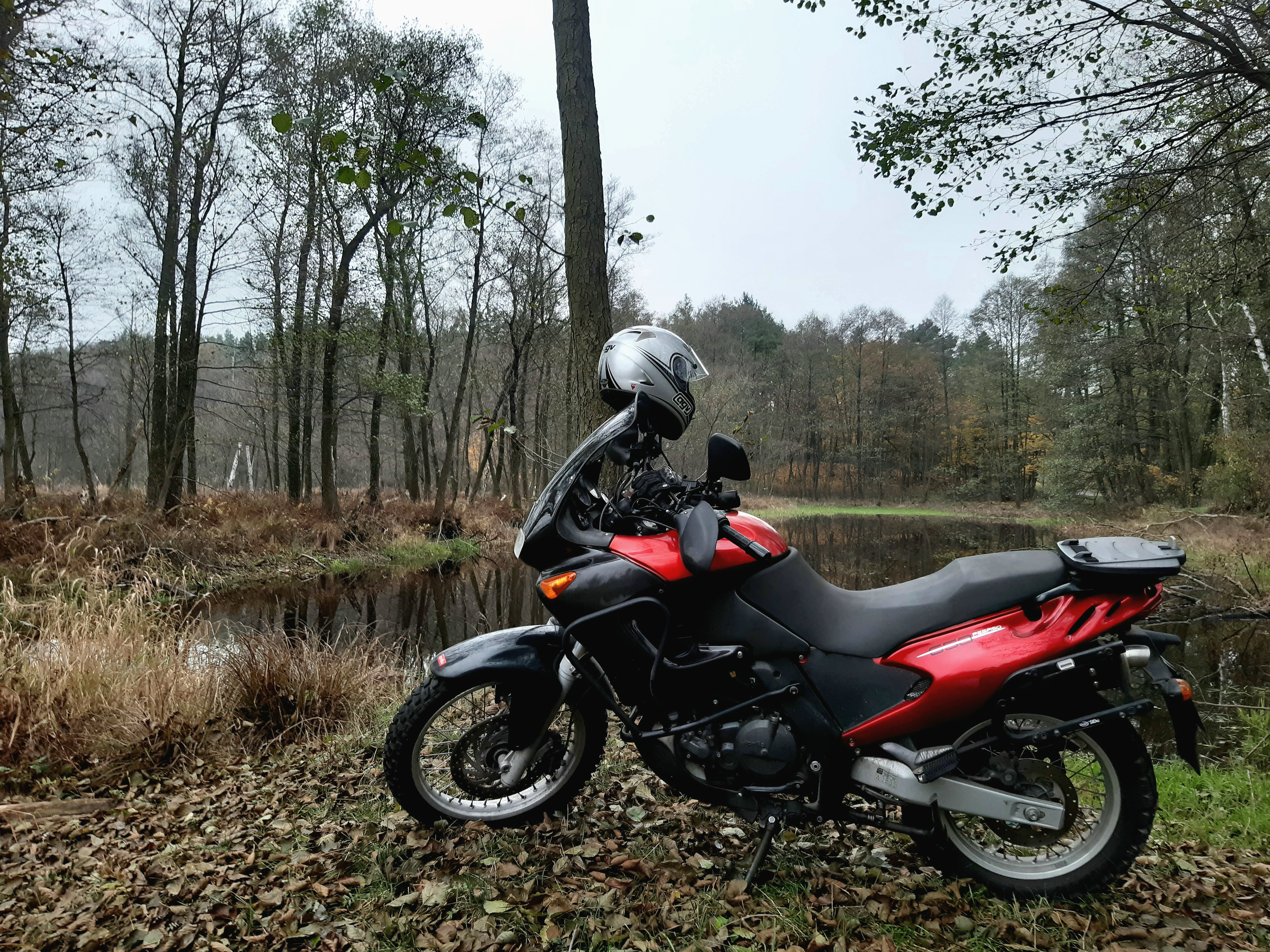Photo 2821842