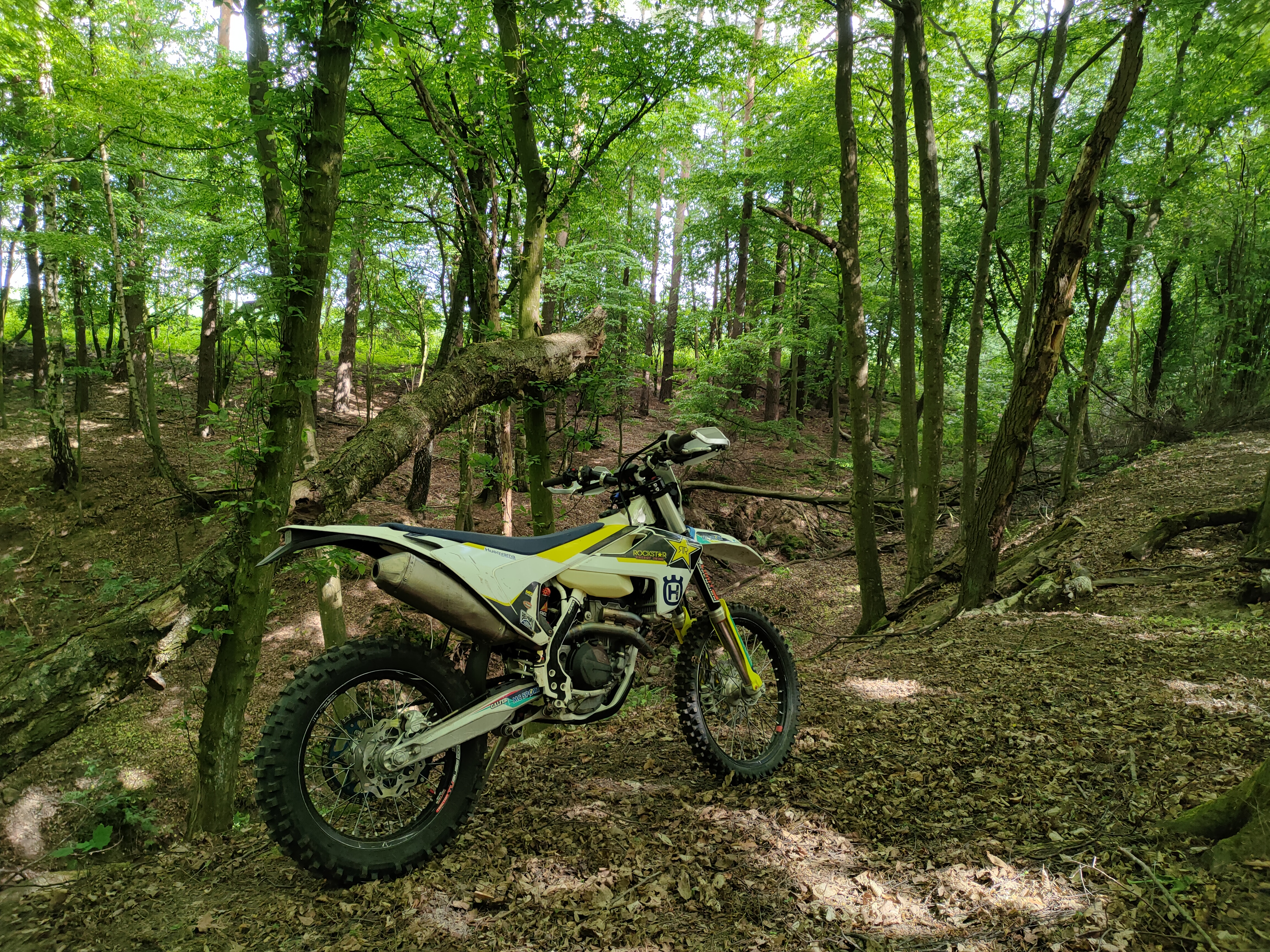 Fe350