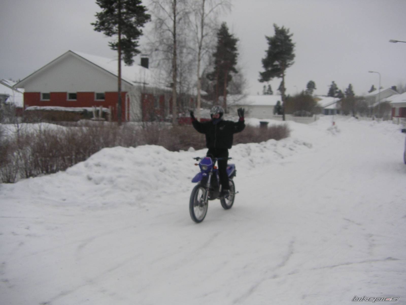 Photo 282216