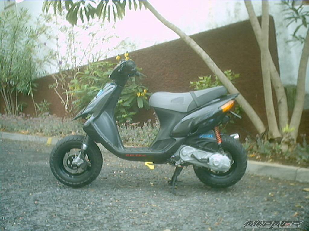 Photo 282241