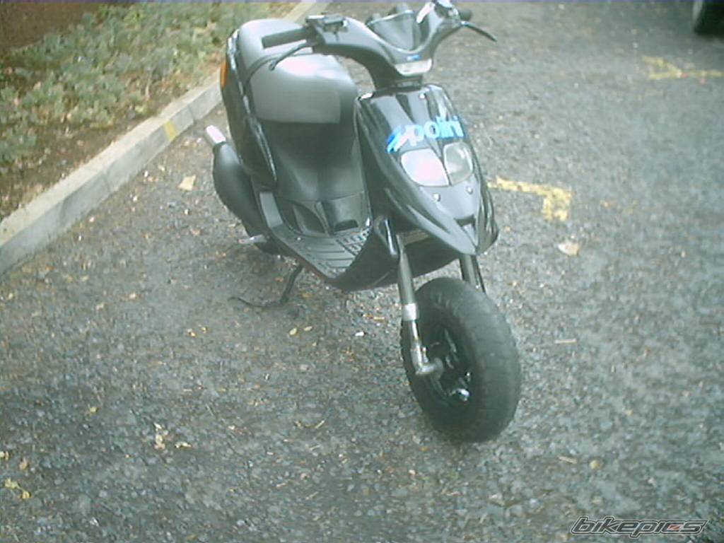 Photo 282242