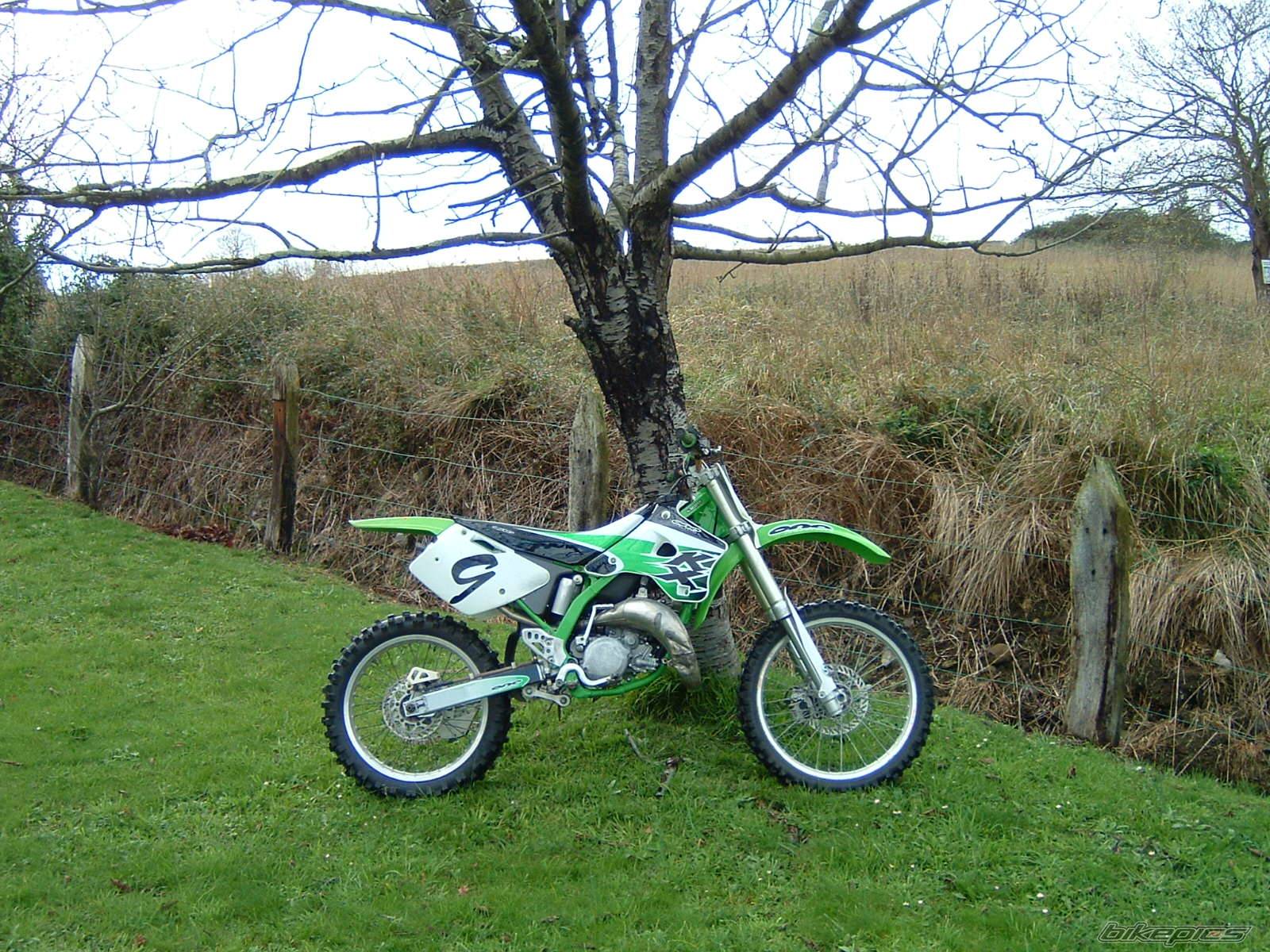 Photo 282252