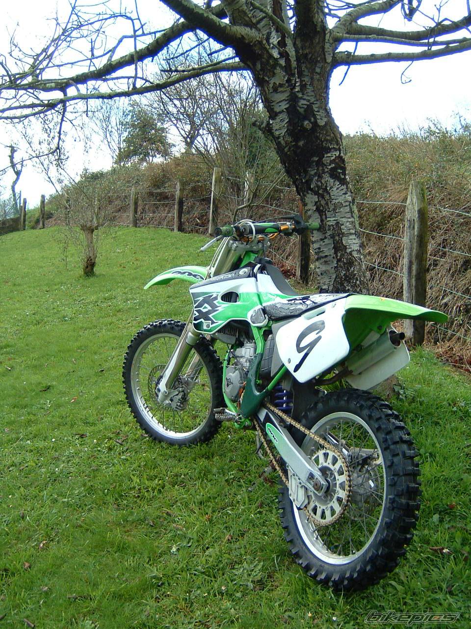 Photo 282253