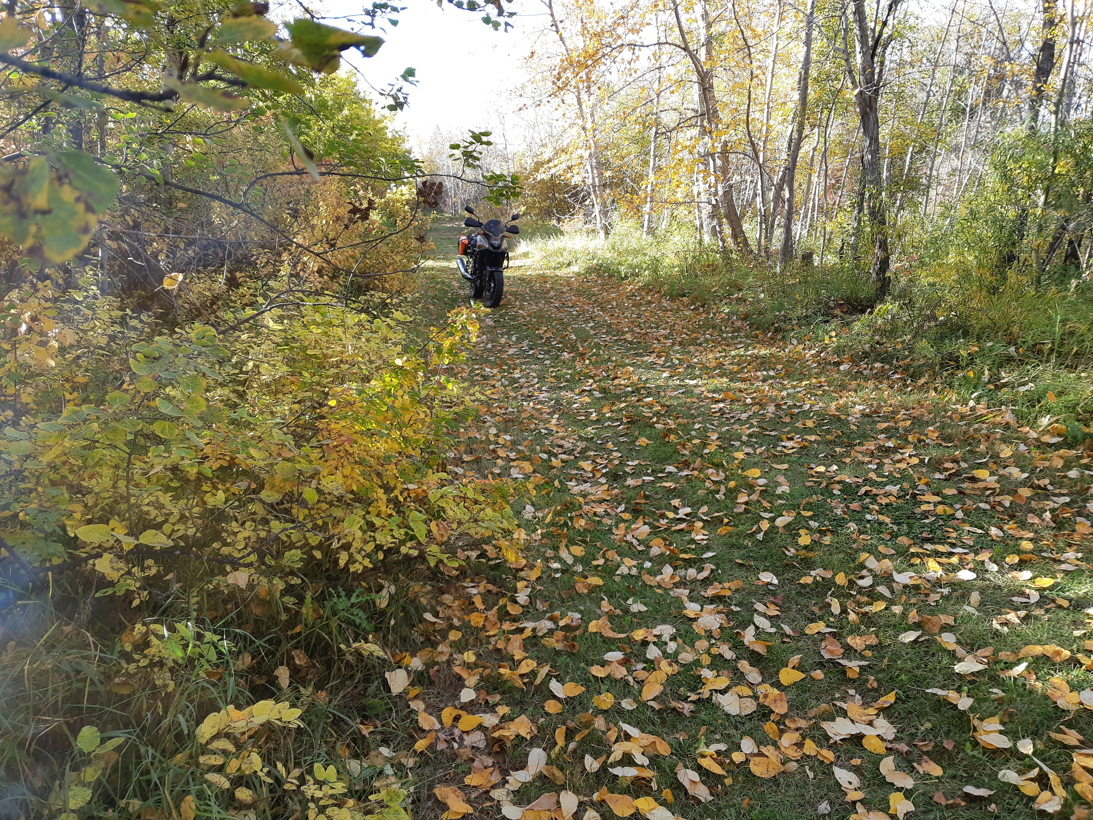 Photo 2822585
