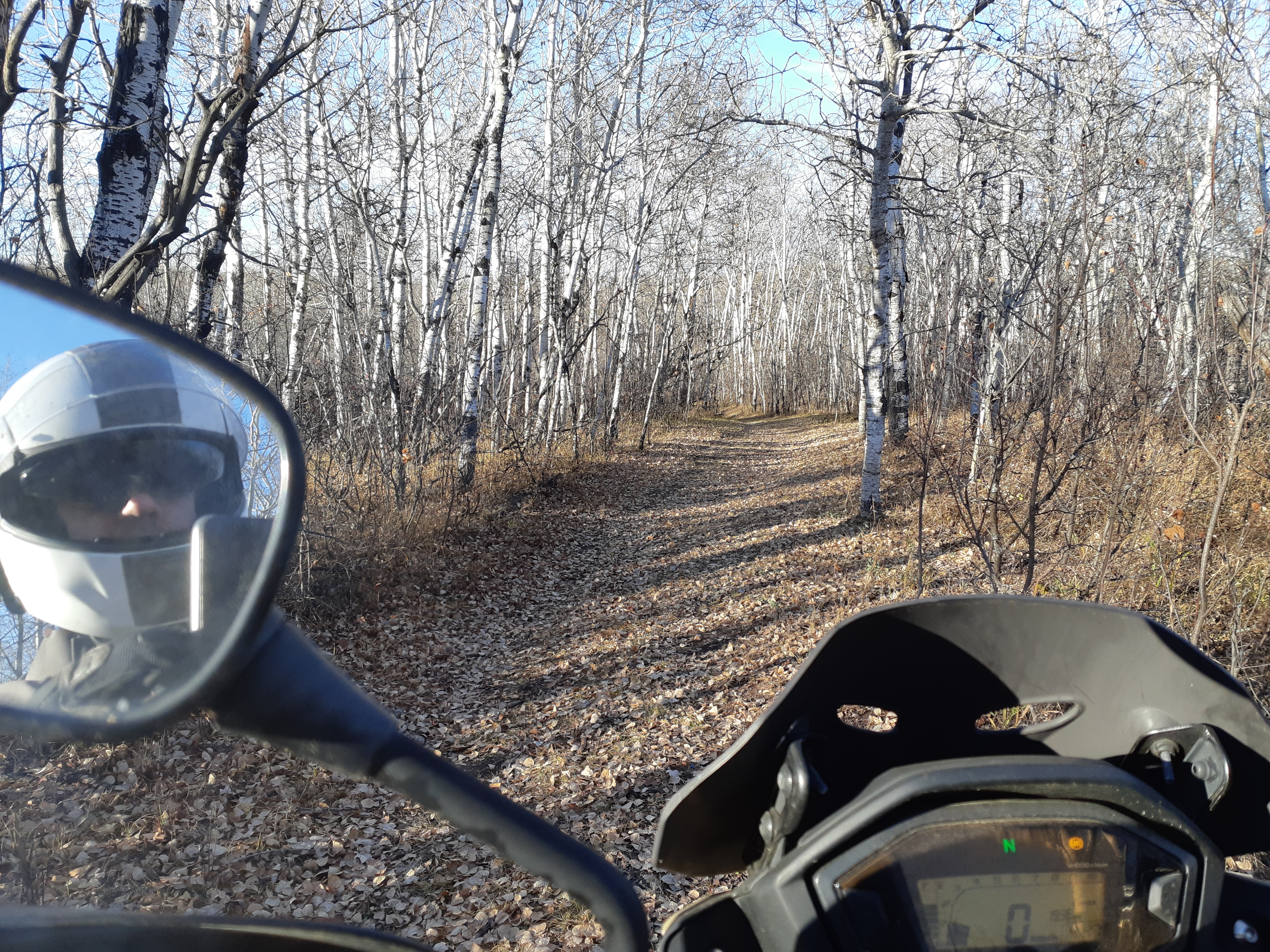 Photo 2822632