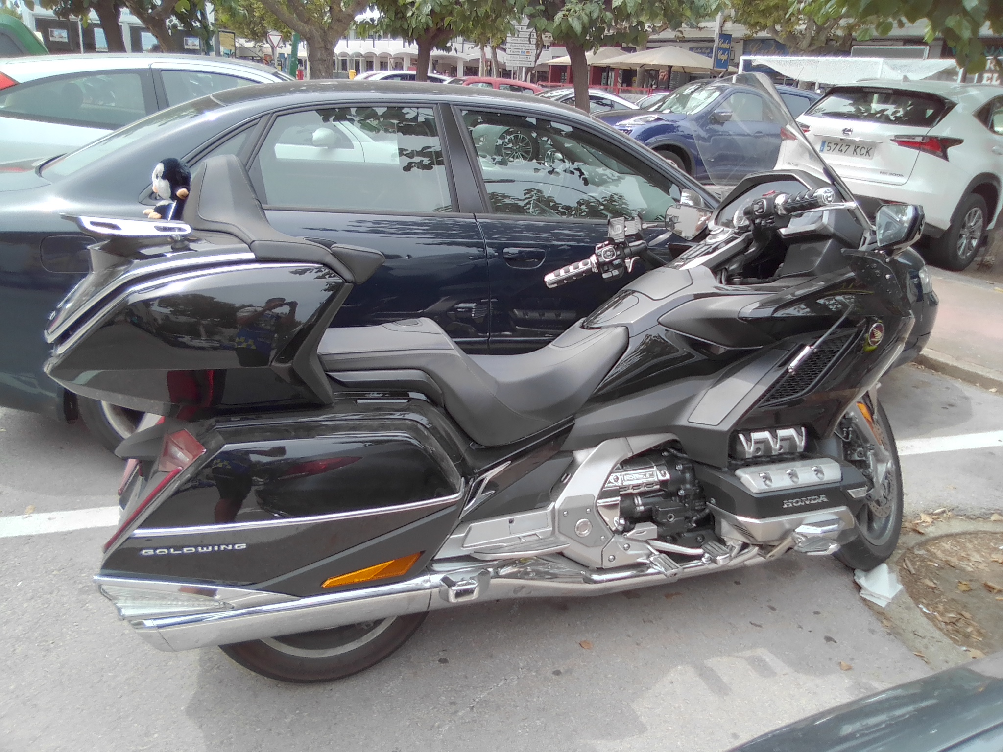 Photo 2822705